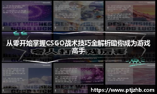 3377体育首页