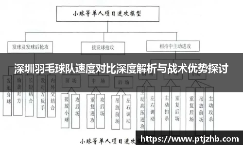 深圳羽毛球队速度对比深度解析与战术优势探讨