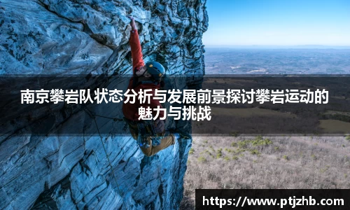 3377体育官网