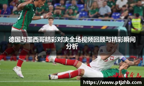 3377体育