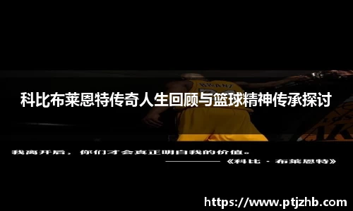 3377体育官网