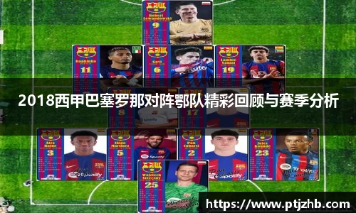 3377体育官网