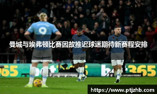 3377体育官网