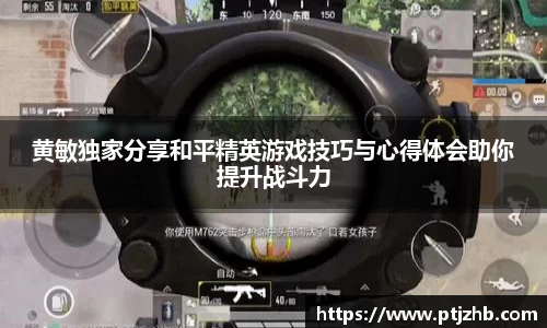 3377体育