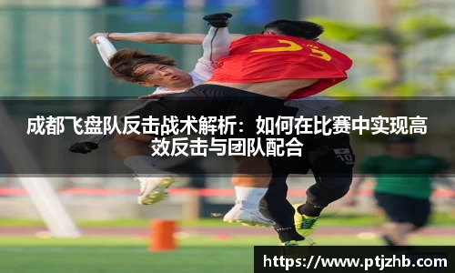 3377体育官网