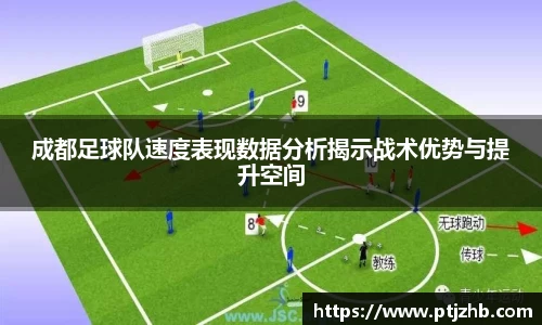 3377体育官网