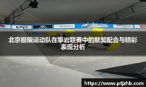 3377体育官网