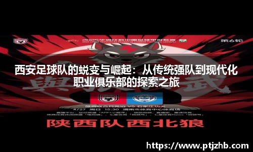 3377体育官网