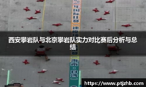 3377体育