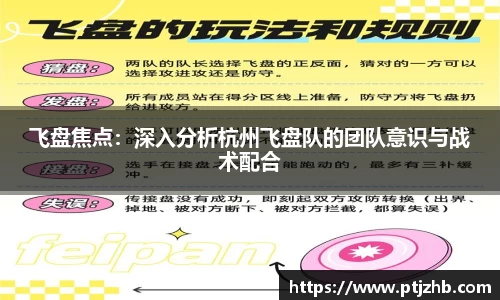 3377体育